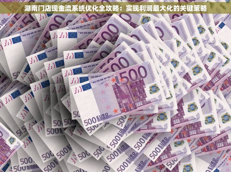 湖南门店现金流系统优化全攻略：实现利润最大化的关键策略