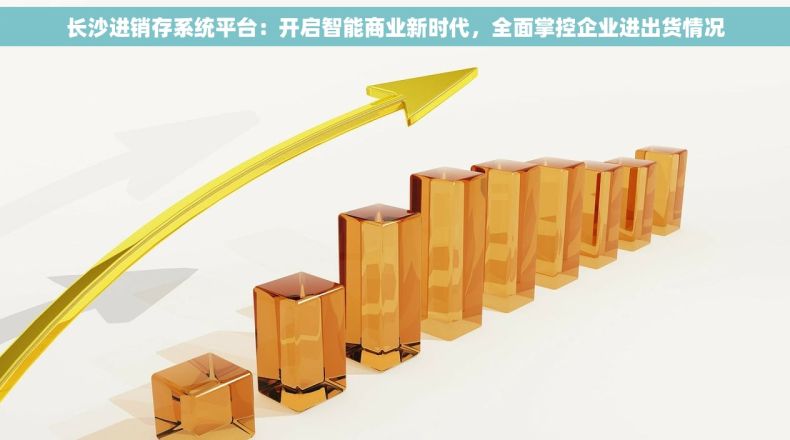 长沙进销存系统平台：开启智能商业新时代，全面掌控企业进出货情况