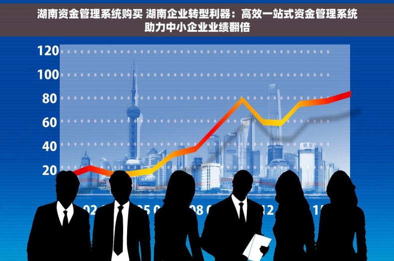 湖南资金管理系统购买 湖南企业转型利器：高效一站式资金管理系统助力中小企业业绩翻倍