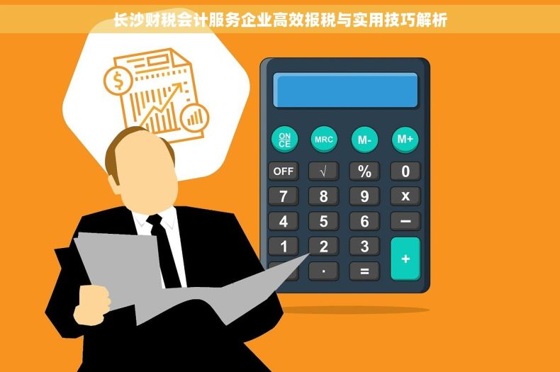 长沙财税会计服务企业高效报税与实用技巧解析
