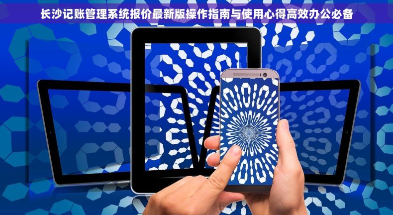 长沙记账管理系统报价最新版操作指南与使用心得高效办公必备