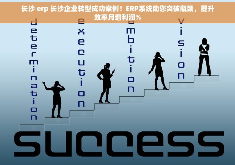 长沙 erp 长沙企业转型成功案例！ERP系统助您突破瓶颈，提升效率月增利润%