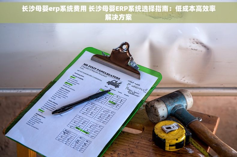 长沙母婴erp系统费用 长沙母婴ERP系统选择指南：低成本高效率解决方案