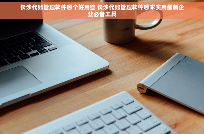长沙代账管理软件哪个好用些 长沙代账管理软件哪家实用最新企业必备工具