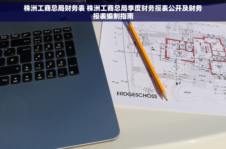 株洲工商总局财务表 株洲工商总局季度财务报表公开及财务报表编制指南