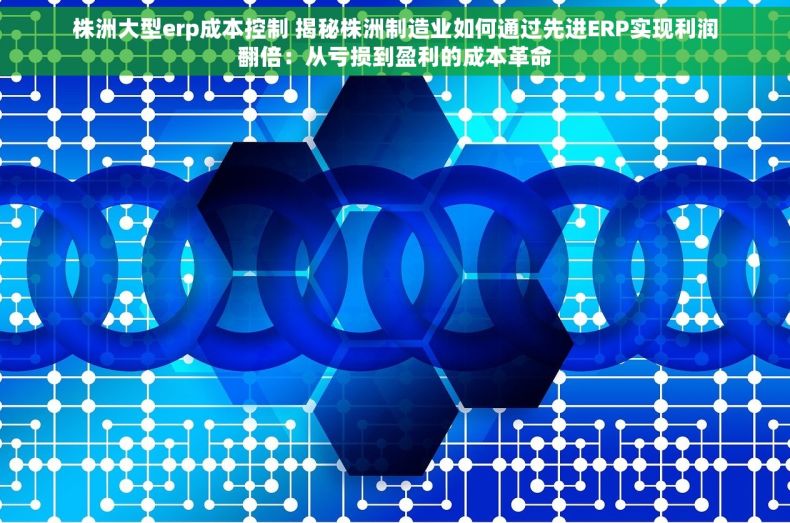 株洲大型erp成本控制 揭秘株洲制造业如何通过先进ERP实现利润翻倍：从亏损到盈利的成本革命