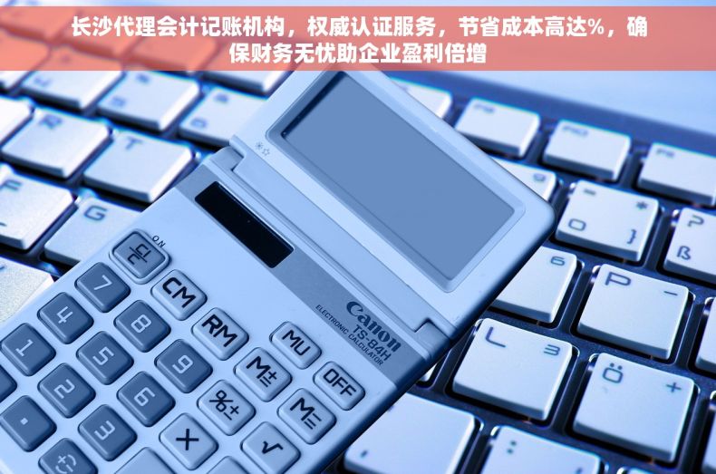 长沙代理会计记账机构，权威认证服务，节省成本高达%，确保财务无忧助企业盈利倍增