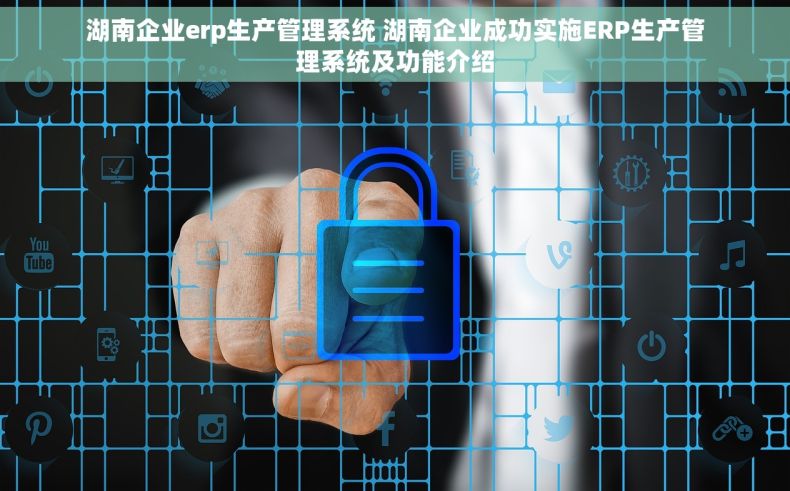 湖南企业erp生产管理系统 湖南企业成功实施ERP生产管理系统及功能介绍