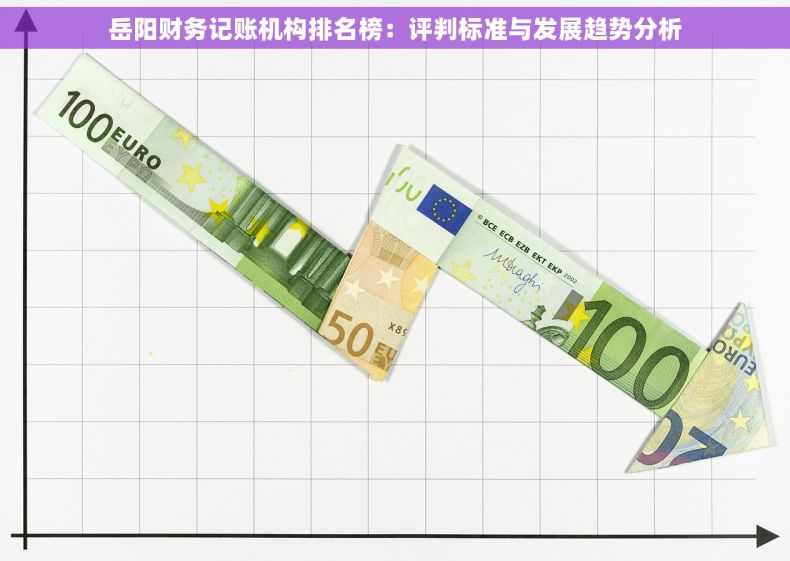 岳阳财务记账机构排名榜：评判标准与发展趋势分析