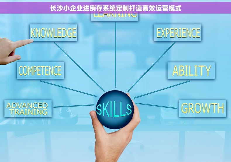 长沙小企业进销存系统定制打造高效运营模式