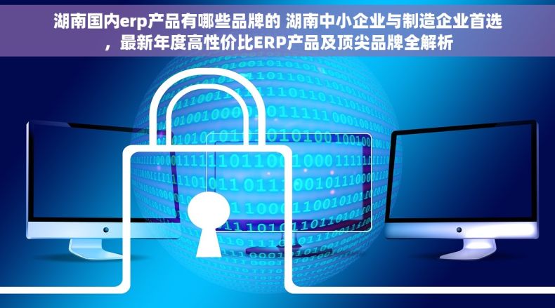 湖南国内erp产品有哪些品牌的 湖南中小企业与制造企业首选，最新年度高性价比ERP产品及顶尖品牌全解析