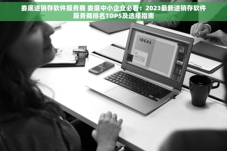 娄底进销存软件服务商 娄底中小企业必看：2023最新进销存软件服务商排名TOP5及选择指南