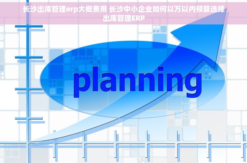 长沙出库管理erp大概费用 长沙中小企业如何以万以内预算选择出库管理ERP