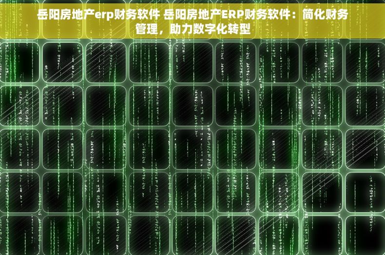 岳阳房地产erp财务软件 岳阳房地产ERP财务软件：简化财务管理，助力数字化转型