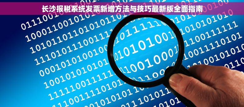 长沙报税系统发票新增方法与技巧最新版全面指南