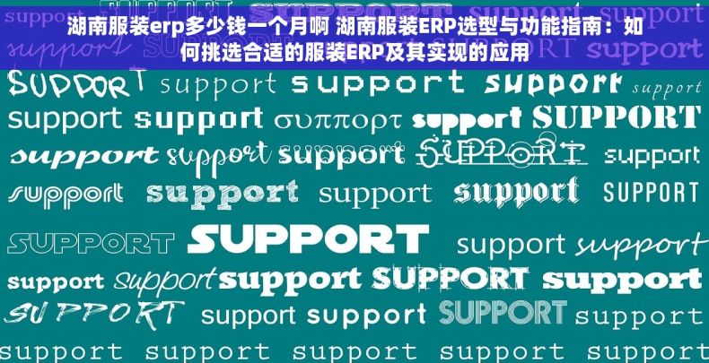 湖南服装erp多少钱一个月啊 湖南服装ERP选型与功能指南：如何挑选合适的服装ERP及其实现的应用