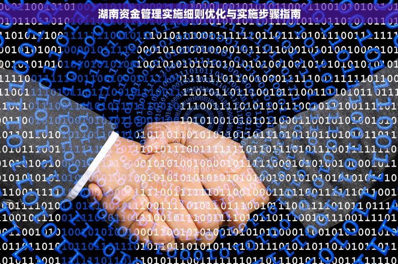 湖南资金管理实施细则优化与实施步骤指南