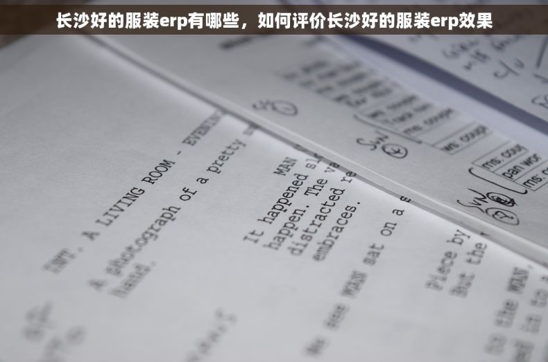 长沙好的服装erp有哪些，如何评价长沙好的服装erp效果