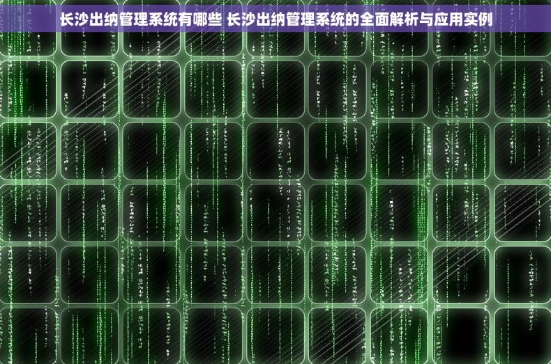 长沙出纳管理系统有哪些 长沙出纳管理系统的全面解析与应用实例