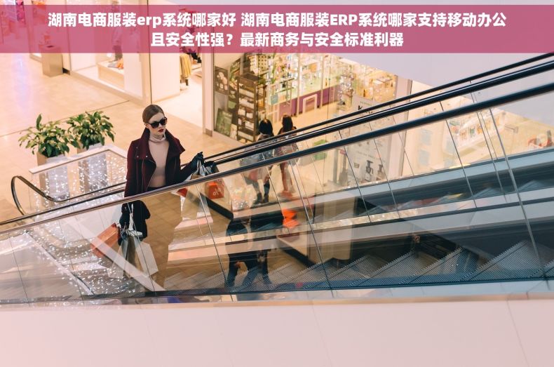 湖南电商服装erp系统哪家好 湖南电商服装ERP系统哪家支持移动办公且安全性强？最新商务与安全标准利器