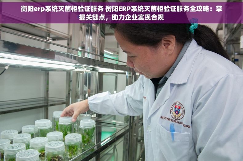 衡阳erp系统灭菌柜验证服务 衡阳ERP系统灭菌柜验证服务全攻略：掌握关键点，助力企业实现合规