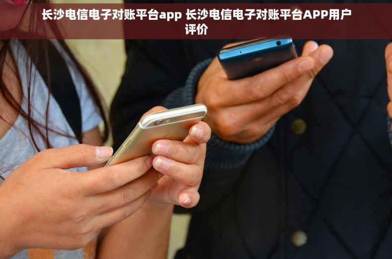 长沙电信电子对账平台app 长沙电信电子对账平台APP用户评价