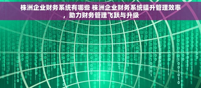 株洲企业财务系统有哪些 株洲企业财务系统提升管理效率，助力财务管理飞跃与升级
