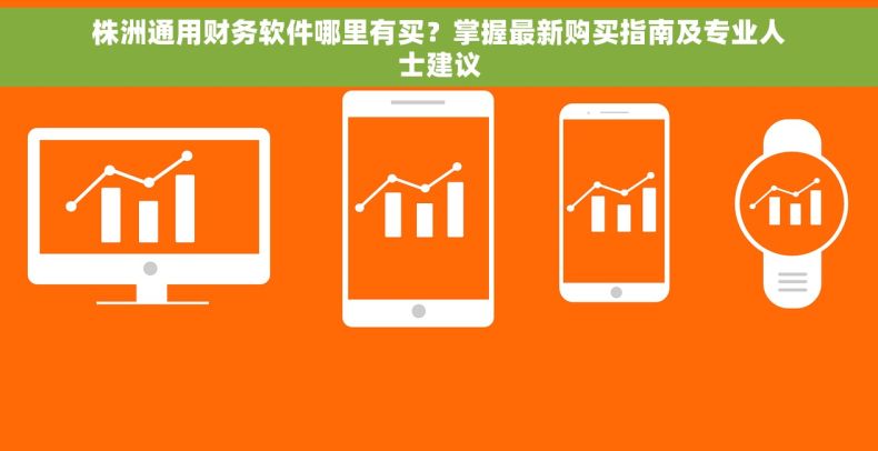 株洲通用财务软件哪里有买？掌握最新购买指南及专业人士建议