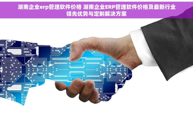 湖南企业erp管理软件价格 湖南企业ERP管理软件价格及最新行业领先优势与定制解决方案