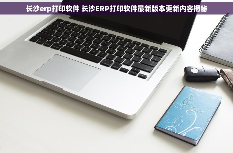 长沙erp打印软件 长沙ERP打印软件最新版本更新内容揭秘