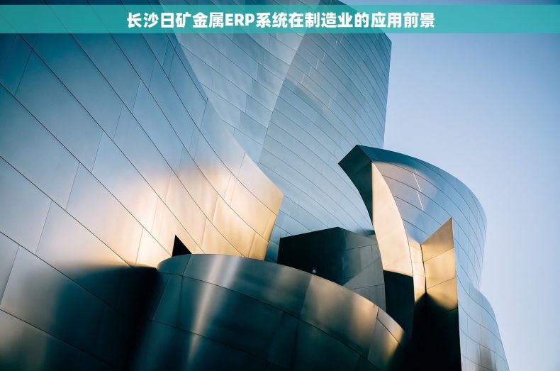 长沙日矿金属ERP系统在制造业的应用前景