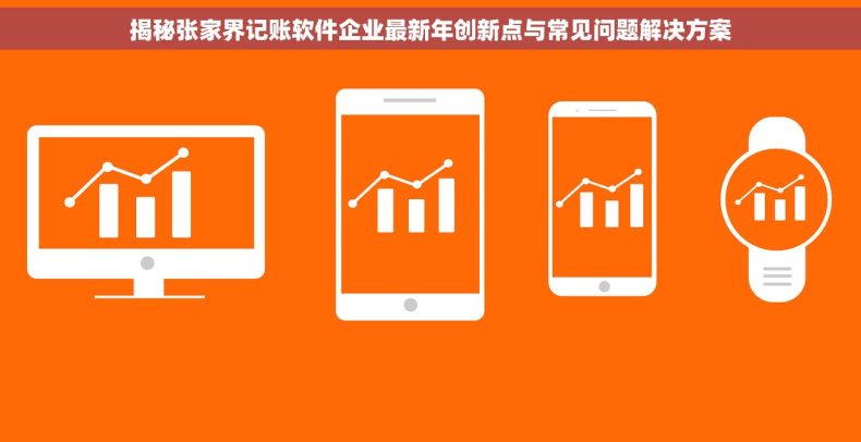 揭秘张家界记账软件企业最新年创新点与常见问题解决方案