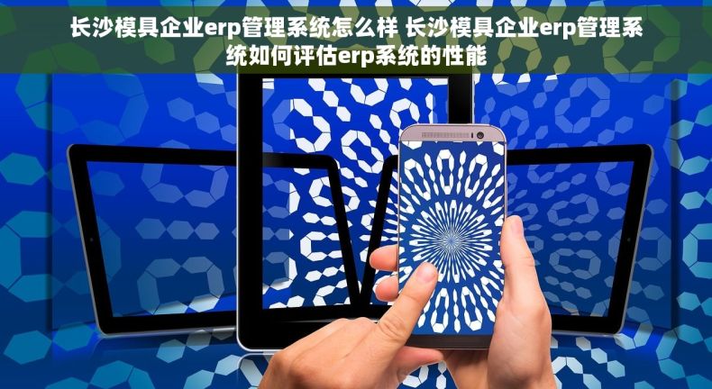 长沙模具企业erp管理系统怎么样 长沙模具企业erp管理系统如何评估erp系统的性能