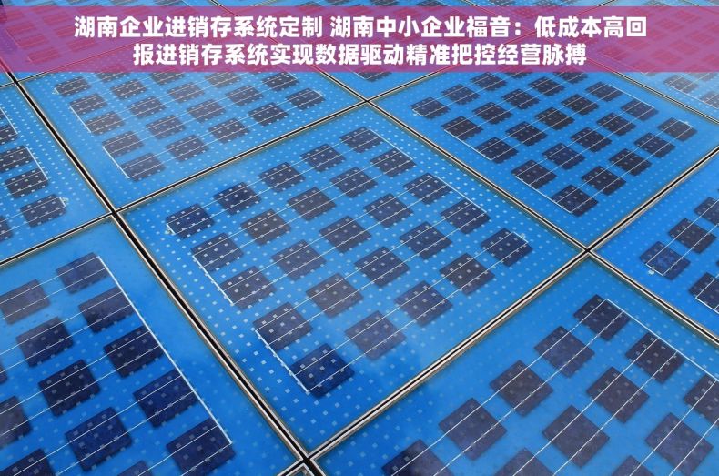 湖南企业进销存系统定制 湖南中小企业福音：低成本高回报进销存系统实现数据驱动精准把控经营脉搏
