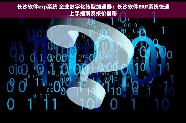 长沙软件erp系统 企业数字化转型加速器：长沙软件ERP系统快速上手指南及报价揭秘