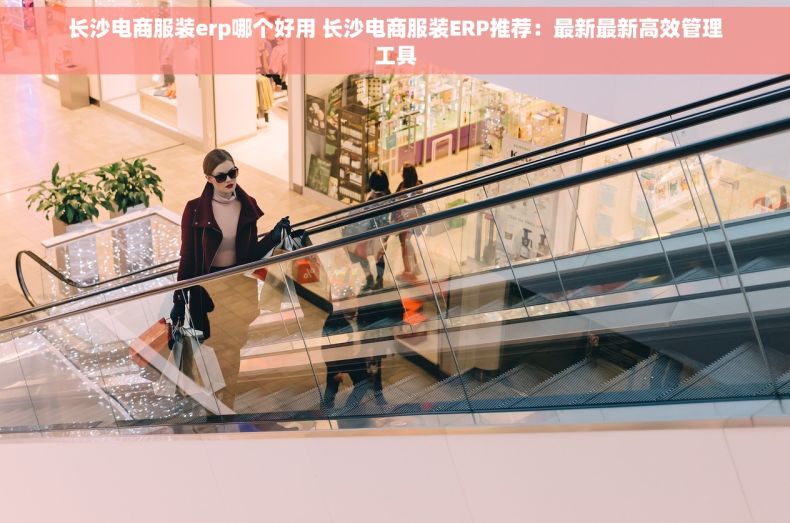 长沙电商服装erp哪个好用 长沙电商服装ERP推荐：最新最新高效管理工具