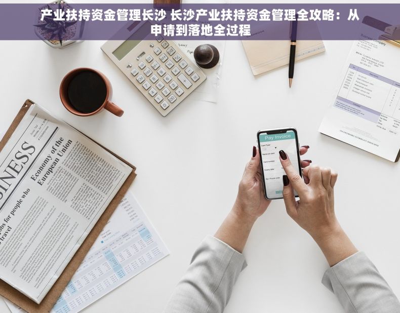 产业扶持资金管理长沙 长沙产业扶持资金管理全攻略：从申请到落地全过程