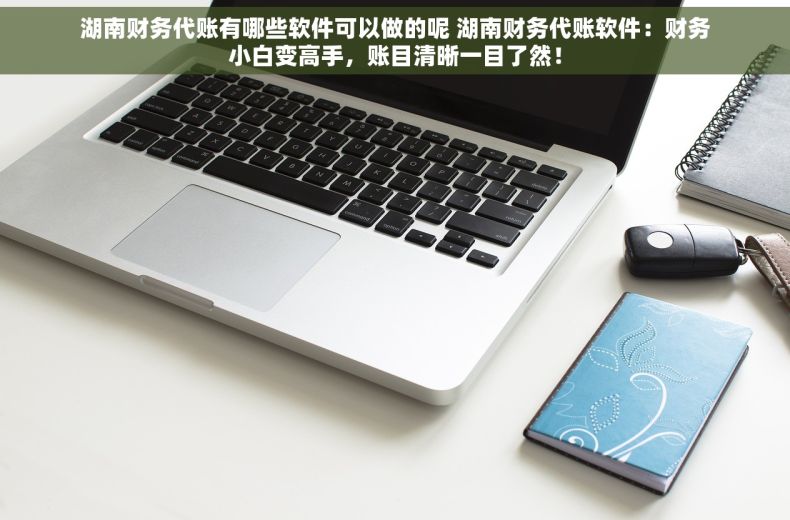 湖南财务代账有哪些软件可以做的呢 湖南财务代账软件：财务小白变高手，账目清晰一目了然！