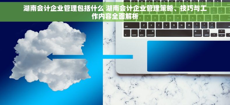 湖南会计企业管理包括什么 湖南会计企业管理策略、技巧与工作内容全面解析