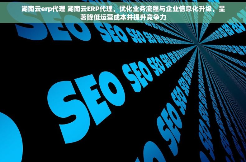 湖南云erp代理 湖南云ERP代理，优化业务流程与企业信息化升级，显著降低运营成本并提升竞争力