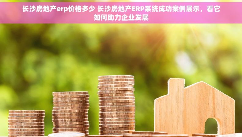 长沙房地产erp价格多少 长沙房地产ERP系统成功案例展示，看它如何助力企业发展