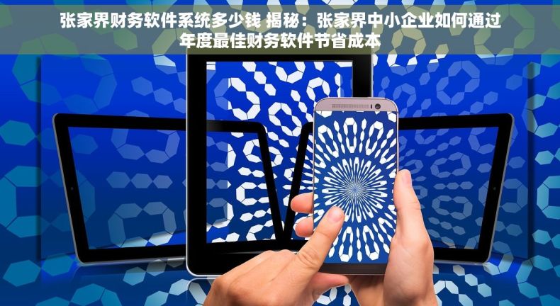 张家界财务软件系统多少钱 揭秘：张家界中小企业如何通过年度最佳财务软件节省成本