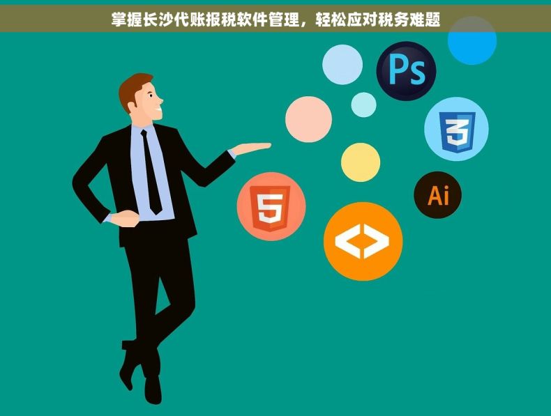 掌握长沙代账报税软件管理，轻松应对税务难题