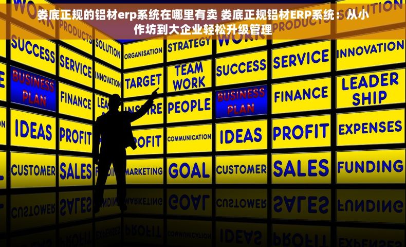 娄底正规的铝材erp系统在哪里有卖 娄底正规铝材ERP系统：从小作坊到大企业轻松升级管理