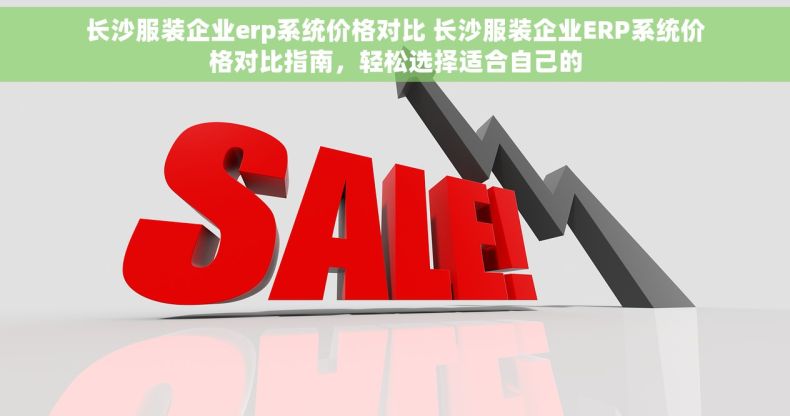 长沙服装企业erp系统价格对比 长沙服装企业ERP系统价格对比指南，轻松选择适合自己的