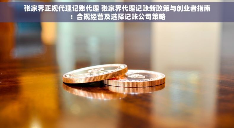 张家界正规代理记账代理 张家界代理记账新政策与创业者指南：合规经营及选择记账公司策略