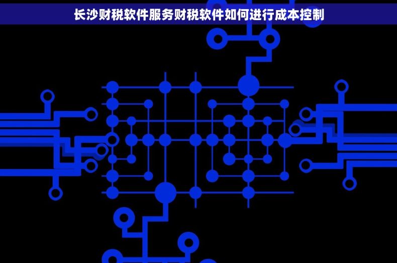 长沙财税软件服务财税软件如何进行成本控制