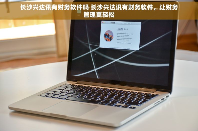 长沙兴达讯有财务软件吗 长沙兴达讯有财务软件，让财务管理更轻松