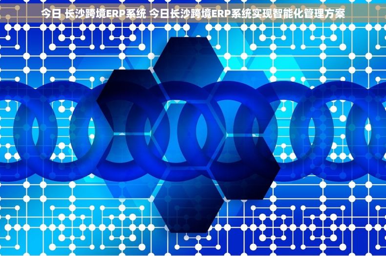 今日 长沙跨境ERP系统 今日长沙跨境ERP系统实现智能化管理方案