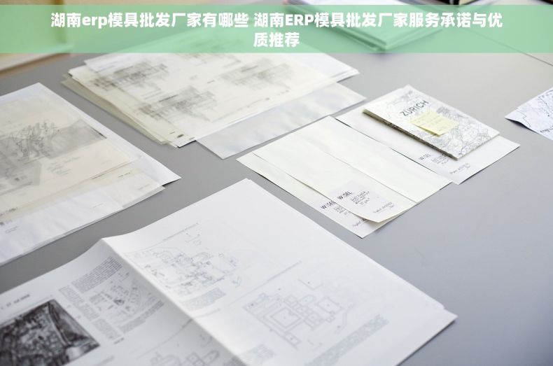 湖南erp模具批发厂家有哪些 湖南ERP模具批发厂家服务承诺与优质推荐